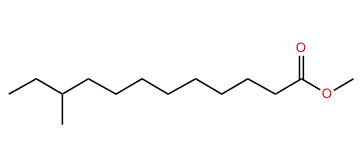 Methyl 10-methyldodecanoate